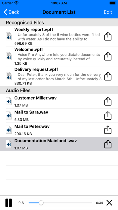 Voice Pro Anywhere screenshot 4