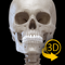 App Icon for Skeleton 3D Anatomy App in Pakistan IOS App Store