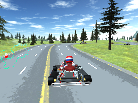 Screenshot #5 pour GO KART CHAMPIONSHIP 3D RACING