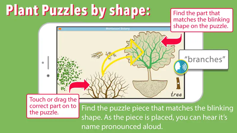 Learn Botany - Parts of Plants screenshot 3 of 9