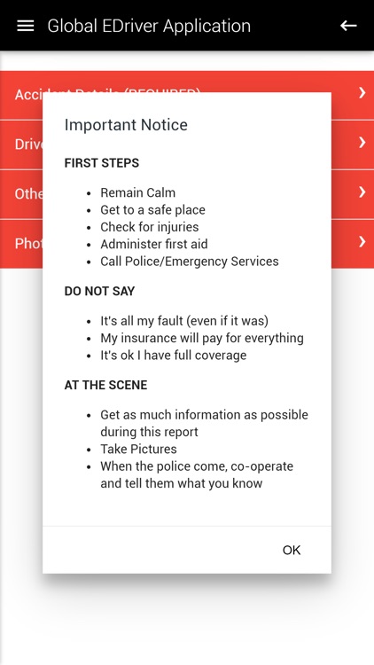 Global E-Driver screenshot-7