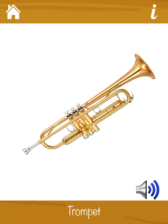 Müzik Aletlerini Öğreniyorum iPad screenshot