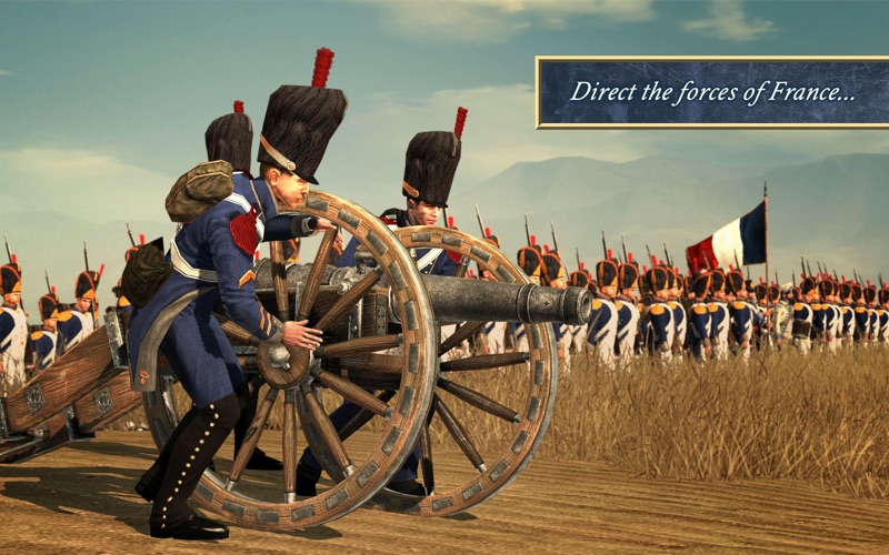 total war: napoleon problems & solutions and troubleshooting guide - 4