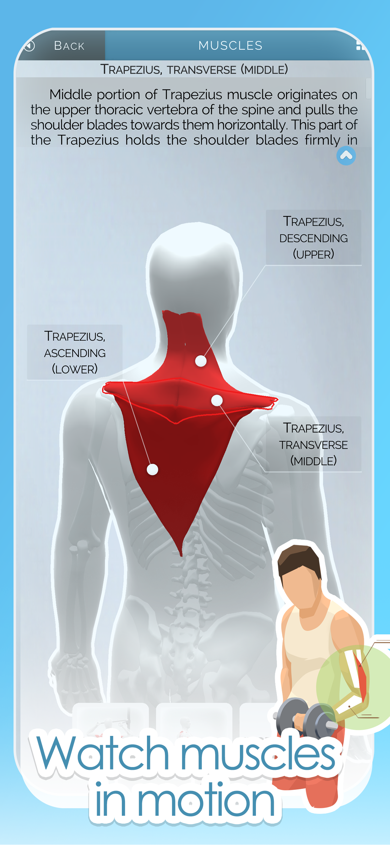 Gym of Tomorrow: Workout Coach