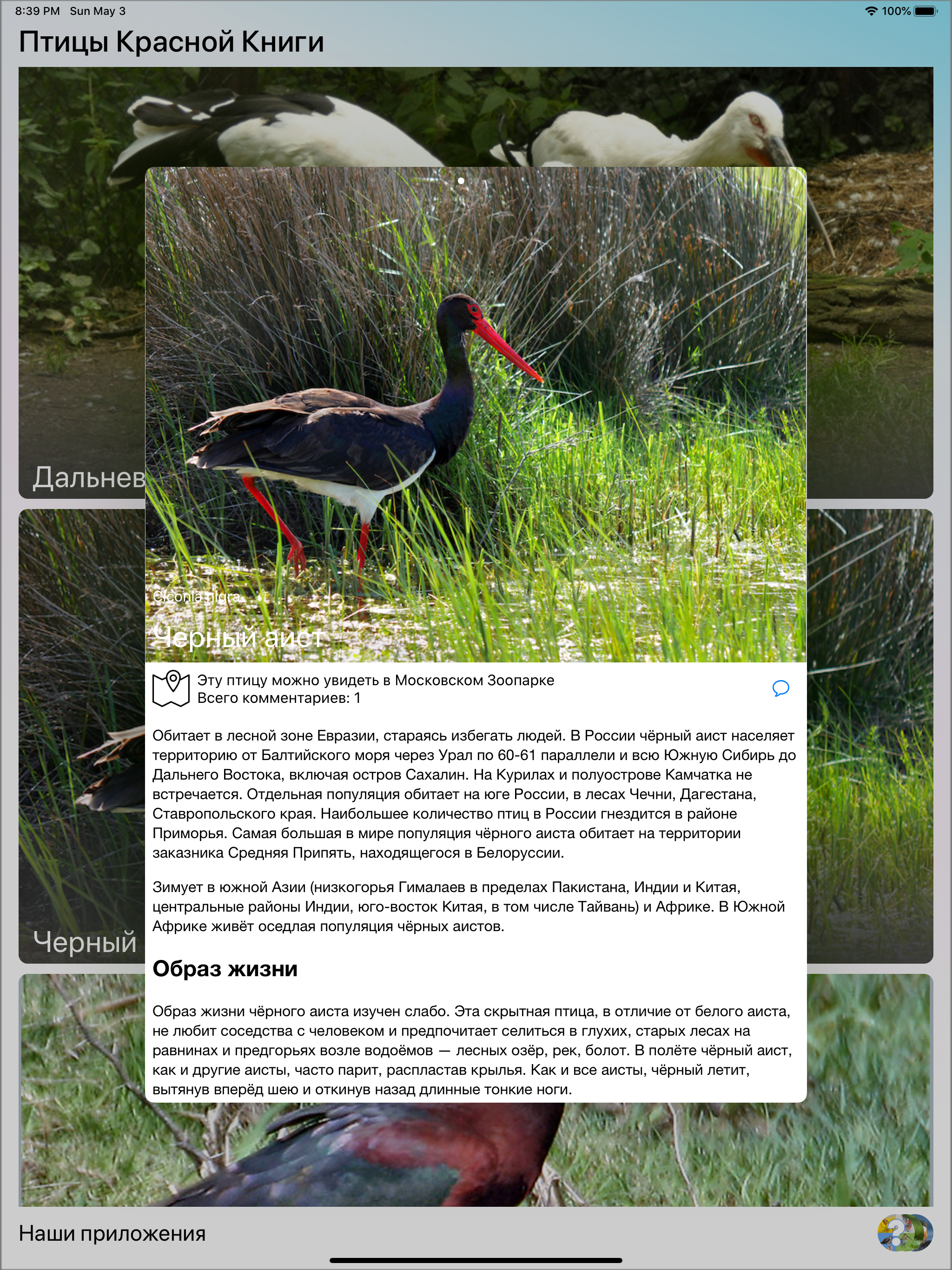 Птицы Красной Книги России screenshot 12
