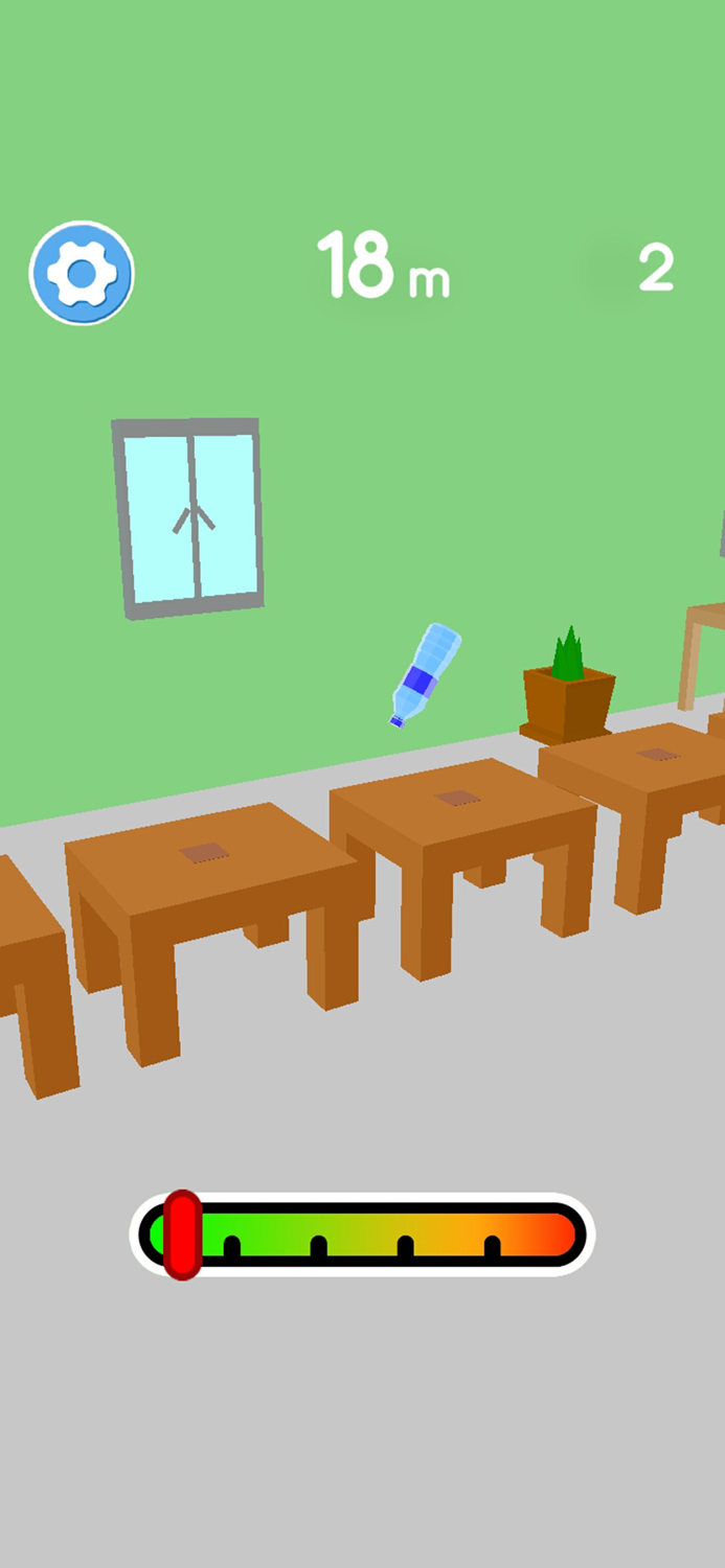 What the Flip - Bottle 3D