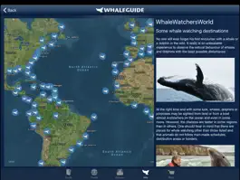 Game screenshot WhaleGuide for iPad apk