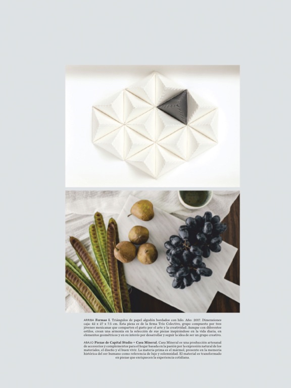 Screenshot #5 pour Design Hunter Mexico