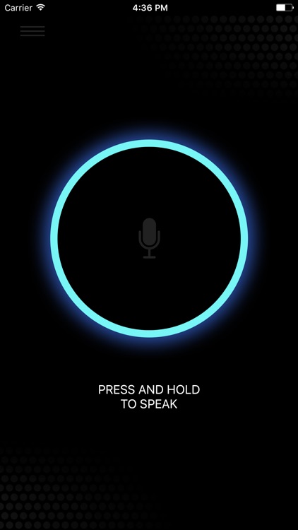 Ally -for Alexa Voice Services