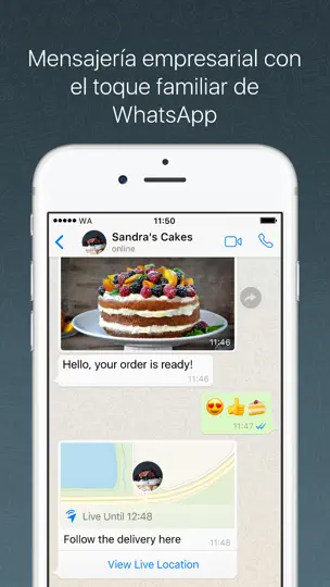 Captura de pantalla de WhatsApp Business en iPhone 2