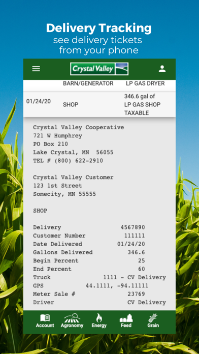 Crystal Valley screenshot 3