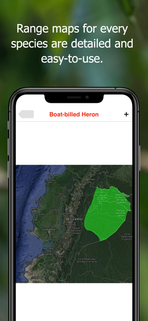 Birds of Ecuador - Field Guide(圖7)-速報App