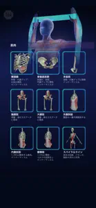 美の三大アーチ　オリジナルAnatomy screenshot #2 for iPhone