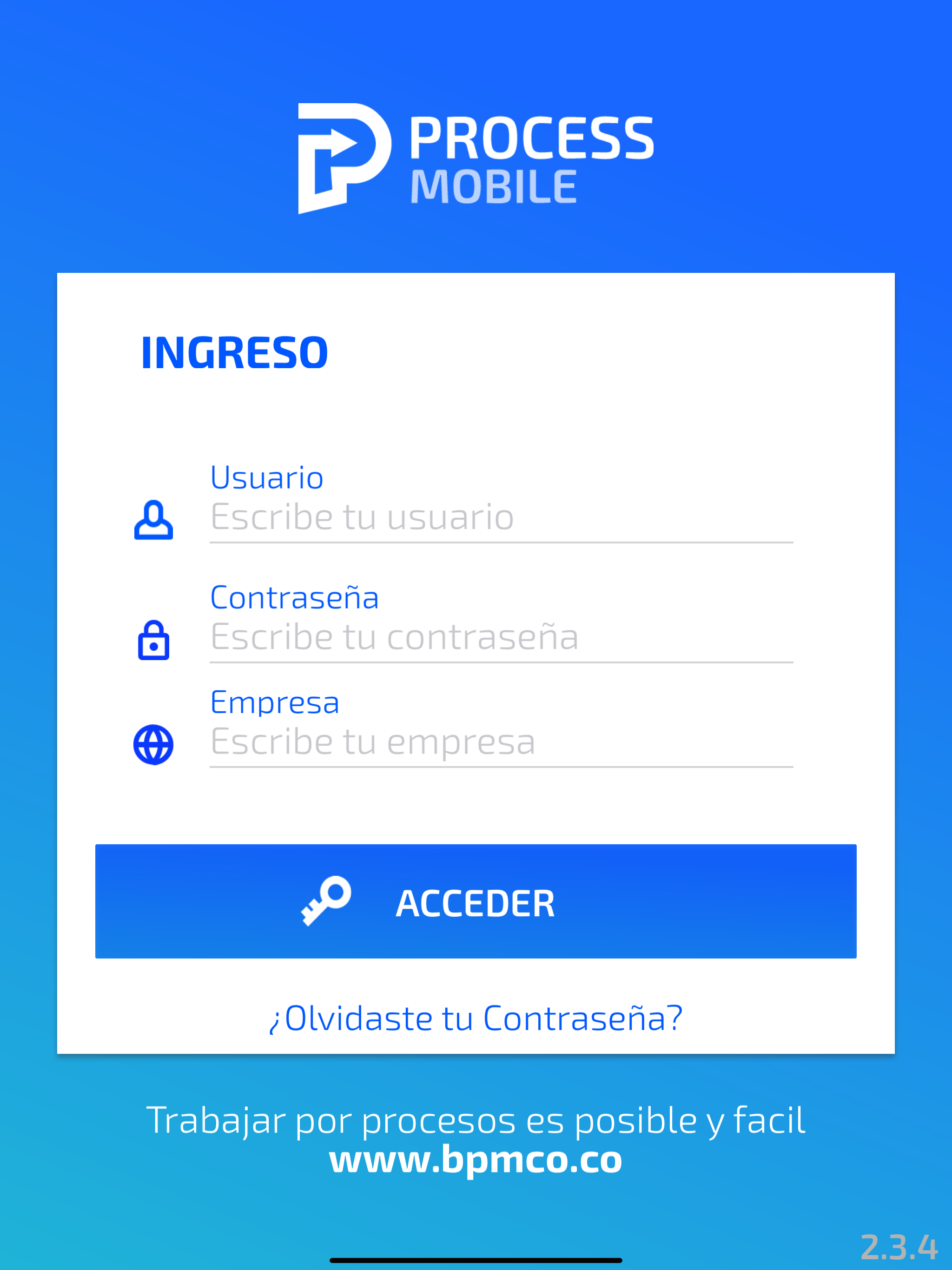 BPMCo Process