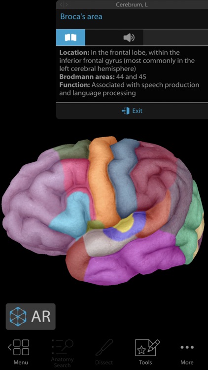 Human Anatomy Atlas 2020 screenshot-9