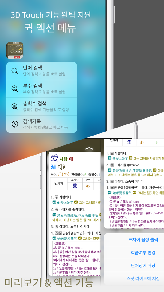 #5. YBM 올인올 중한중 사전 - ChKoCh DIC (iOS) 由: DaolSoft, Co., Ltd.
