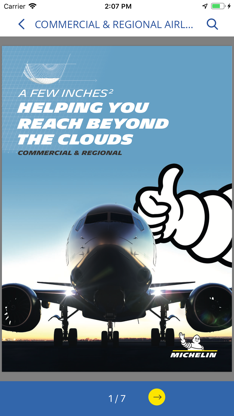 Michelin Aircraft Tire screenshot 5