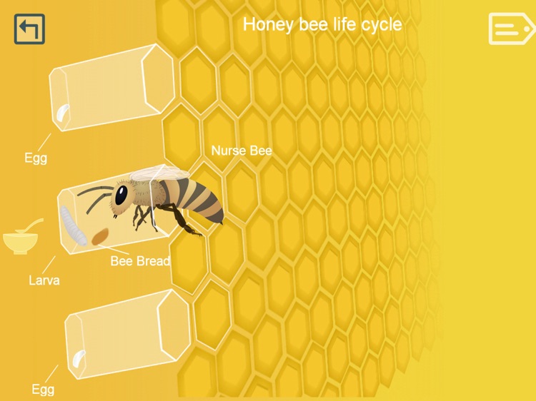 Life of a Bee screenshot-5