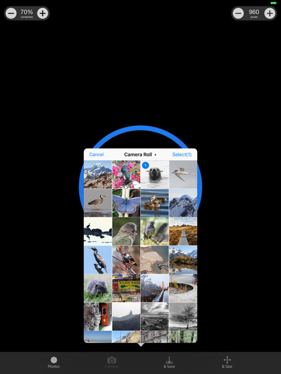 Screenshot #4 pour Mini Pxt Lite