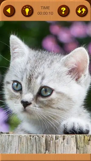 Cat Kitten Jigsaw Puzzle Games screenshot 8