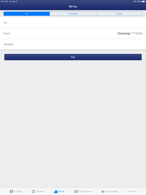 CCU FL Mobile Banking iPad screenshot 5 - Finance app