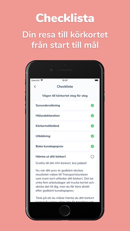 Teoriakuten AM-körkort screenshot-4