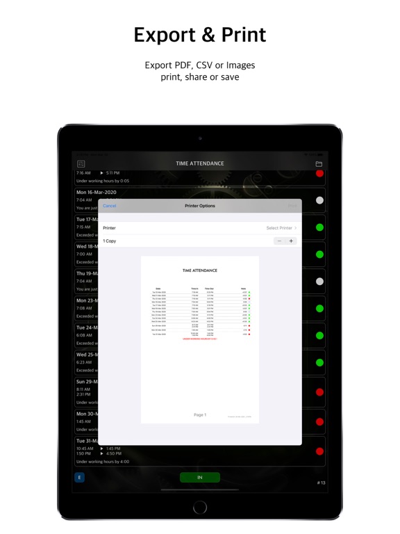 TIMEA iPad screenshot 6 - Business app