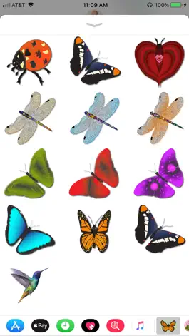 Game screenshot Butterflies & Dragonflies apk