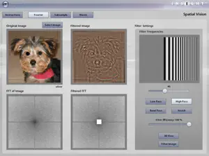iNSIGHT Spatial Vision screenshot 1