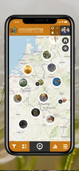 Game screenshot SpiderSpotter | SPOTTERON mod apk