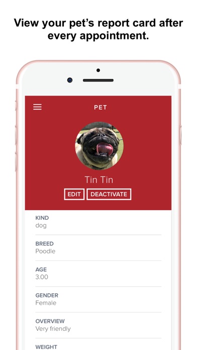 The Dog Republic Screenshot