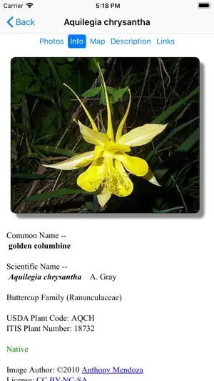 West Texas Wildflowers screenshot 3