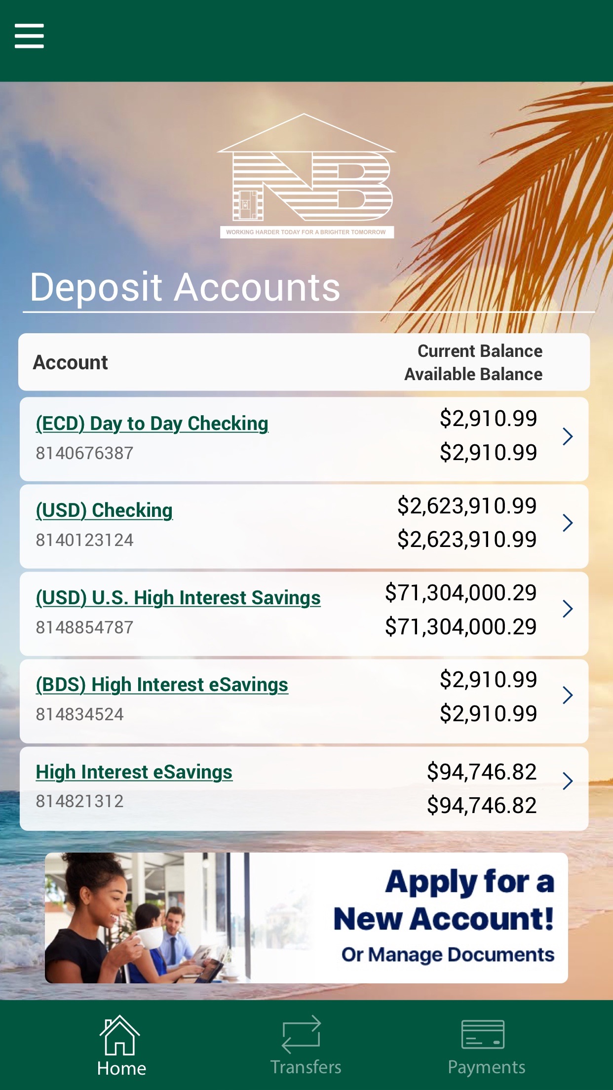 Screenshot 2 of SKNANB MoBanking