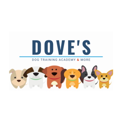 Doves Dogs