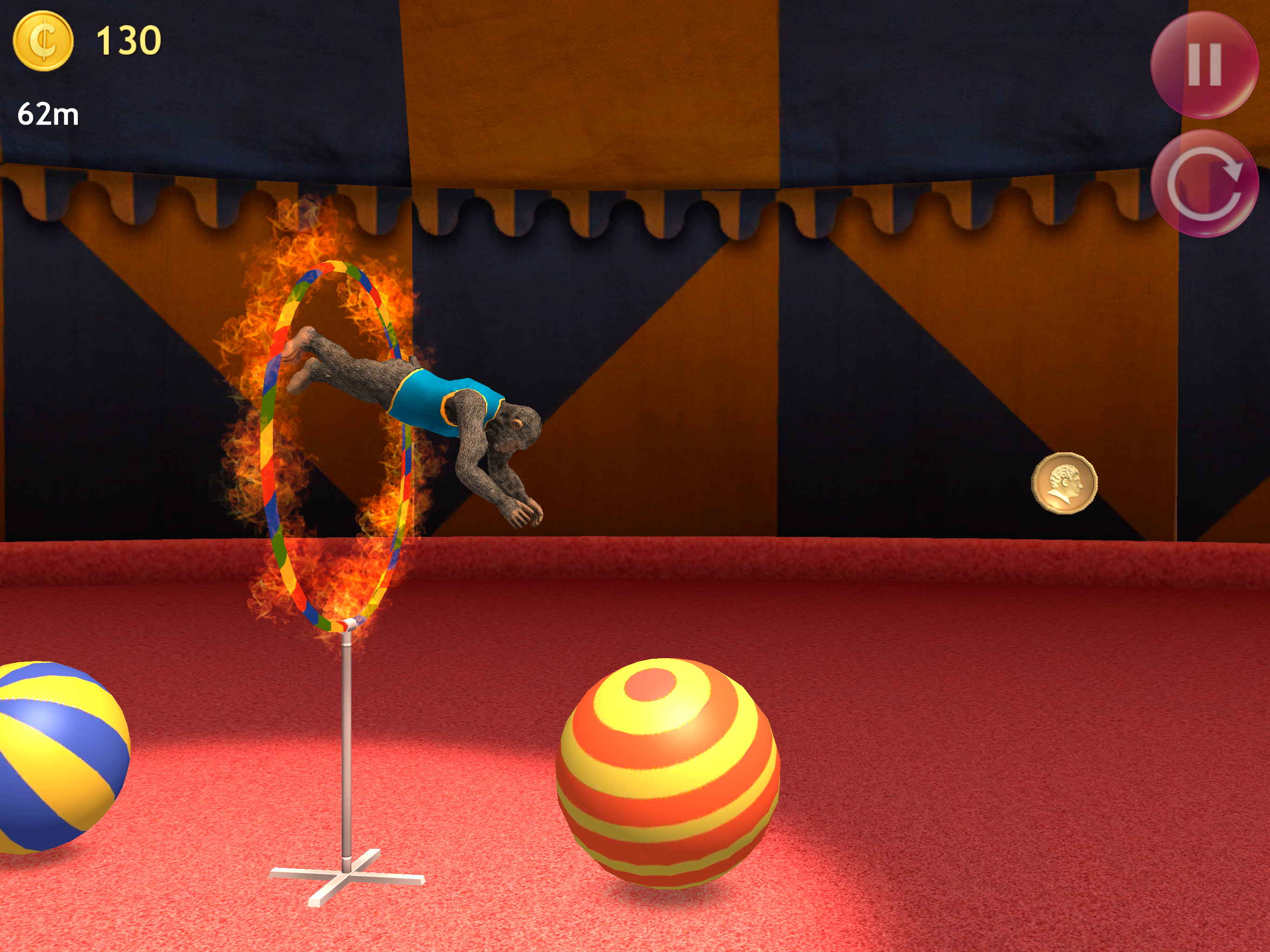 Circus Jumpers