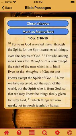 Game screenshot Ryrie Theology Central Passage apk