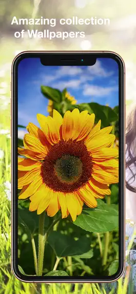Game screenshot Цветы Обои: HD mod apk
