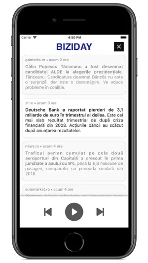 Biziday screenshot 1
