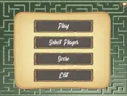 maze 3d - primosoft айпад изображения 1
