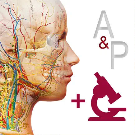Anatomy & Physiology Читы