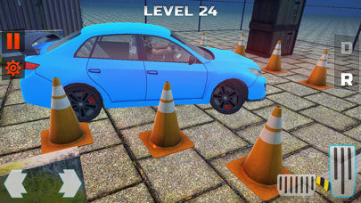 Real Drive and Park Sim Screenshot