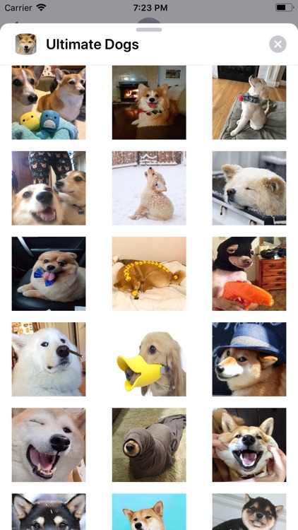 Ultimate Dogs Sticker Pack screenshot-3