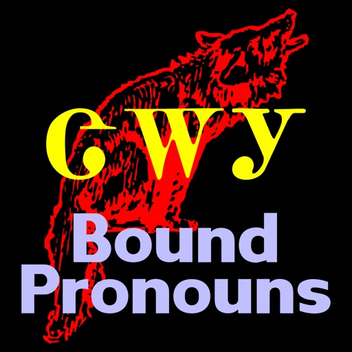 Cherokee Bound Pronouns