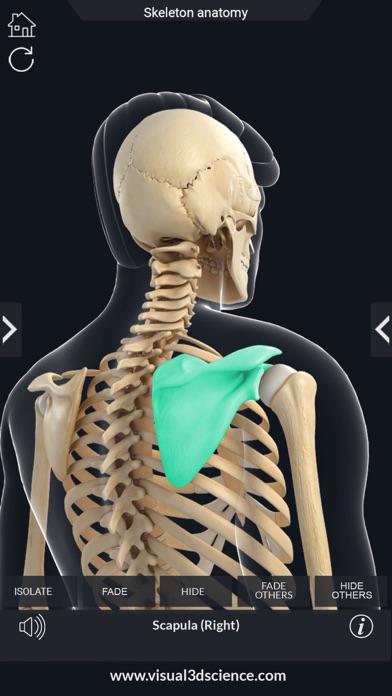 AR Skeleton Anatomy screenshot 4