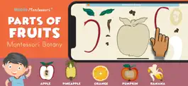 Game screenshot Montessori Parts of Fruits mod apk