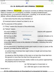 tx penal code 2024 - texas law ipad images 4