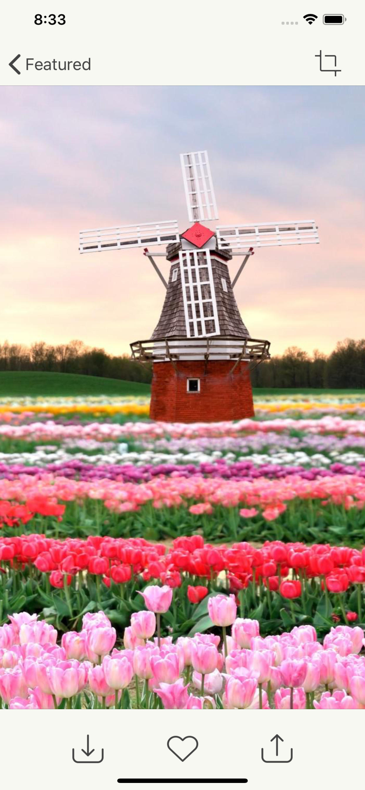 Flower Gallery