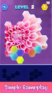 jigsaw hexa puzzle art iphone screenshot 4