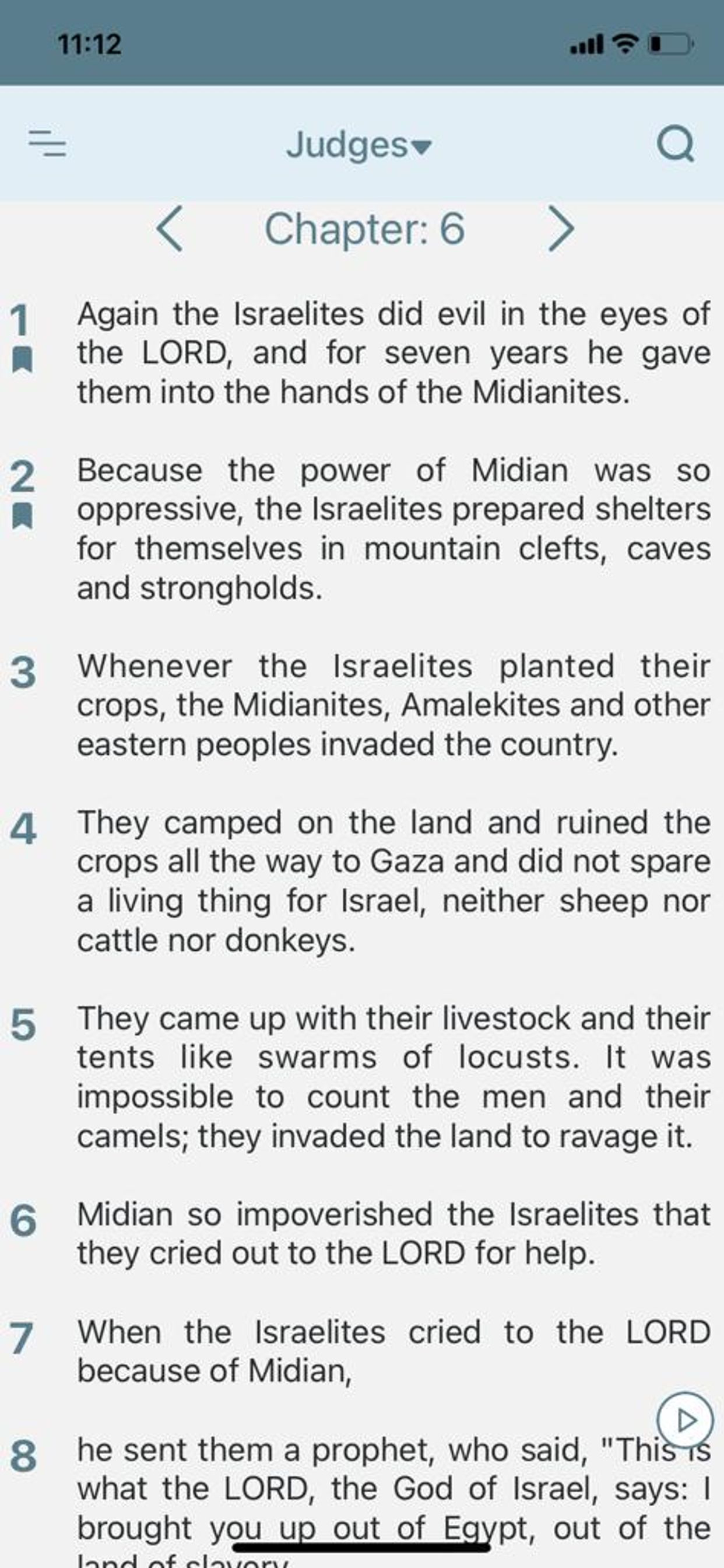NIV Bible (Holy Bible)