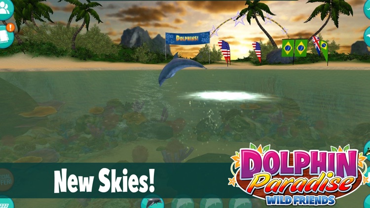 Dolphin Paradise: Wild Friends